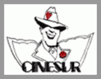 Cinesur S.A.