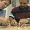 Learning Math: Geometry