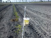 Introduction to Integrated Pest Management (IPM))