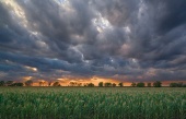 Weather Forecast in Agriculture and Agro-advisory (WF)