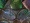 2009 ASLA Fellows Video