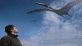 Journey of Life (2005)