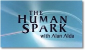 The Human Spark (2010)