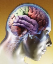 Stuart Hameroff interview: The Science of Consciousness (2003)