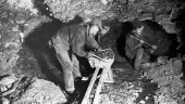 City of Gold: Klondike Gold Rush (1957)
