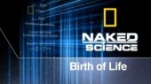 Naked Science: Birth of Life (2008)