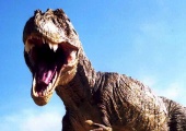 T.Rex - Warrior or Wimp? (2004)