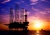 Overview of the Petroleum Industry (2008)