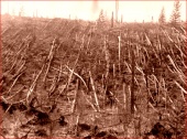 Decoding the Past: Siberian Apocalypse (2008)