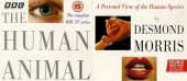 The Human Animal, by Desmond Morris (1994)