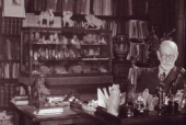 Biography: Sigmund Freud (2004)