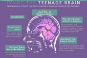 Inside the Teenage Brain (2002)