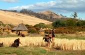 Stories from the Stone Age (2004)