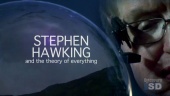 Stephen Hawking and the Theory of Everything (2008)