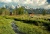 American Wonders: National Parks of the West (1995)