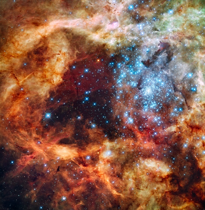 
	Star Cluster R136 Bursts Out
	Astronomy Picture of the Day - 2009 December 21
	Credit: NASA, ESA, & F. Paresce (INAF-IASF), R. O'Connell (U. Virginia), & the HST WFC3 Science Oversight Committee
	
	Explanation: In the center of star-forming region 30 Doradus lies a huge cluster of the largest, hottest, most massive stars known. These stars, known collectively as star cluster R136, were captured above in visible light by the newly installed Wide Field Camera peering though the recently refurbished Hubble Space Telescope. Gas and dust clouds in 30 Doradus, also known as the Tarantula Nebula, have been sculpted into elongated shapes by powerful winds and ultraviolet radiation from these hot cluster stars. The 30 Doradus Nebula lies within a neighboring galaxy known as the Large Magellanic Cloud and is located a mere 170,000 light-years away.