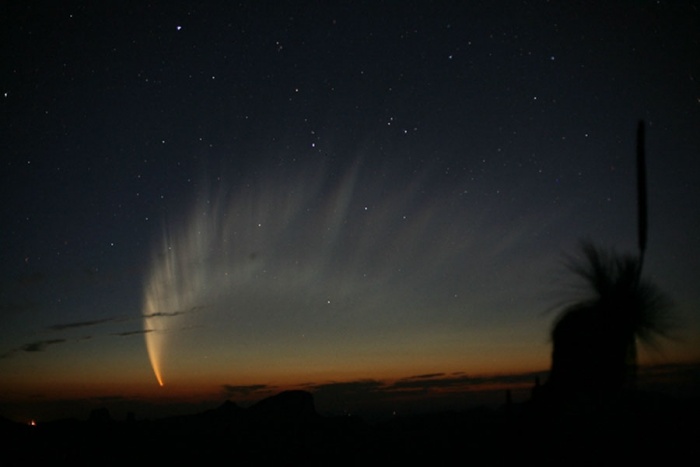 
	The Magnificent Tail of Comet McNaught
	Astronomy Picture of the Day - 2009 December 6
	Credit & Copyright: Robert H. McNaught
	
	Explanation: Comet McNaught, the Great Comet of 2007, was the brightest comet of the last 40 years. Its spectacular tail spread across the sky and was breathtaking to behold from dark locations for many Southern Hemisphere observers. The head of the comet remained quite bright and was easily visible to even city observers without any optical aide. Part of the spectacular tail was visible just above the horizon after sunset for many northern observers as well. Comet C/2006 P1 (McNaught), which reached an estimated peak brightness of magnitude -6 (minus six), was caught by the comet's discoverer in the above image soon after sunset in 2007 January from Siding Spring Observatory in Australia. The robotic Ulysses spacecraft fortuitously flew through Comet McNaught's tail and found, unexpectedly, that the speed of the solar wind dropped significantly.