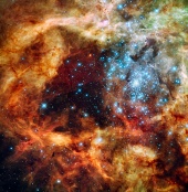 Solar cluster: Hubble Makes a Holiday 