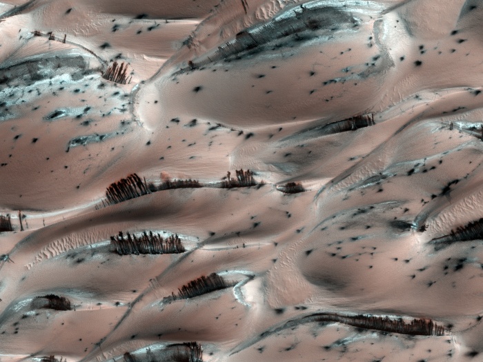 
	Dark Sand Cascades on Mars
	Credit: HiRISE, MRO, LPL (U. Arizona), NASA
	Astronomy Picture of the Day - 2010 January 19
	
	Explanation: They might look like trees on Mars, but they're not. Groups of dark brown streaks have been photographed by the Mars Reconnaissance Orbiter on melting pinkish sand dunes covered with light frost. The above image was taken in 2008 April near the North Pole of Mars. At that time, dark sand on the interior of Martian sand dunes became more and more visible as the spring Sun melted the lighter carbon dioxide ice. When occurring near the top of a dune, dark sand may cascade down the dune leaving dark surface streaks -- streaks that might appear at first to be trees standing in front of the lighter regions, but cast no shadows. Objects about 25 centimeters across are resolved on this image spanning about one kilometer. Close ups of some parts of this image show billowing plumes indicating that the sand slides were occurring even when the image was being taken.