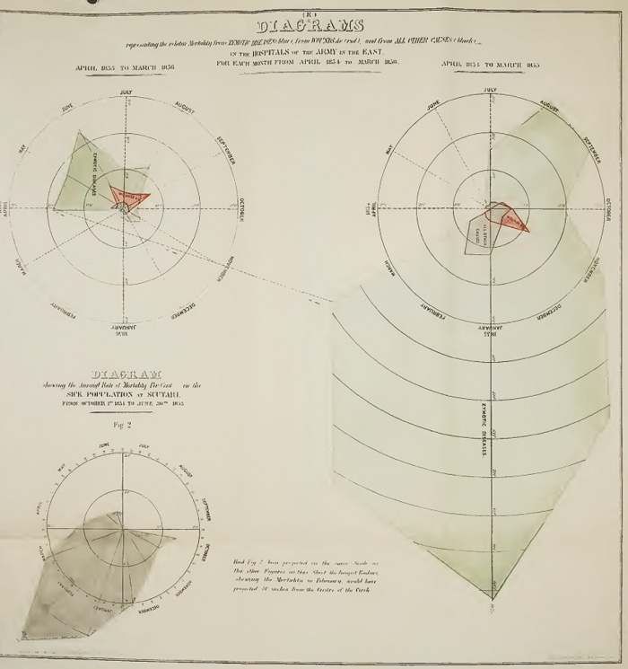 Florence Nightingale was a master in visualising statistics - see how she did it. Florence Nightingale's 'coxcomb' diagram on mortality in the army. Click on the image to get a bigger image of her first version - her 