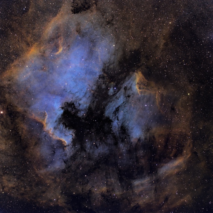  North America and the Pelican   Credit: Martin Pugh Astronomy Picture of the Day - 2010 December 18  Explanation: Here lie familiar shapes in unfamiliar locations. On the left is an emission nebula cataloged as NGC 7000, famous partly because it resembles our fair planet's continent of North America. The emission region to the right of the North America Nebula is IC 5070, also known for its suggestive outlines as the Pelican Nebula. Separated by a dark cloud of obscuring dust, the two bright nebulae are about 1,500 light-years away. At that distance, the 4 degree wide field of view spans 100 light-years. This spectacular cosmic portrait combines narrow band images of the region in a false-color palette to highlight bright ionization fronts with fine details of dark, dusty forms in silhouette. Emission from atomic hydrogen, sulfur, and oxygen is captured in the narrow band data. These nebulae can be seen with binoculars from a dark location. Look northeast of bright star Deneb in the constellation Cygnus the Swan.    