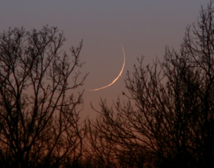    A Twilight Occultation  Credit: Doug Zubenel (TWAN) Astronomy Picture of the Day - 2010 December 10  Explanation: A thin, one day old crescent Moon hugged the western horizon after sunset on Monday, December 6. The Moon also occulted or passed in front of Mars. But only some well-placed skygazers along a band through North America were able to catch this lunar occultation's final act in fading twilight. For example, this telephoto image nicely captures Mars as a pinprick of light, shortly after it emerged from behind the crescent Moon's sunlit edge. With a tangle of tree limbs in silhouette, the luminous skyview is from De Soto, Kansas in the central US. Of course, this month's upcoming total lunar eclipse will entertain a much wider audience of Moon enthusiasts during the night of December 20/21.