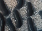 Astronomy Picture of the Day: A Dark Dune Field in Proctor Crater on Mars