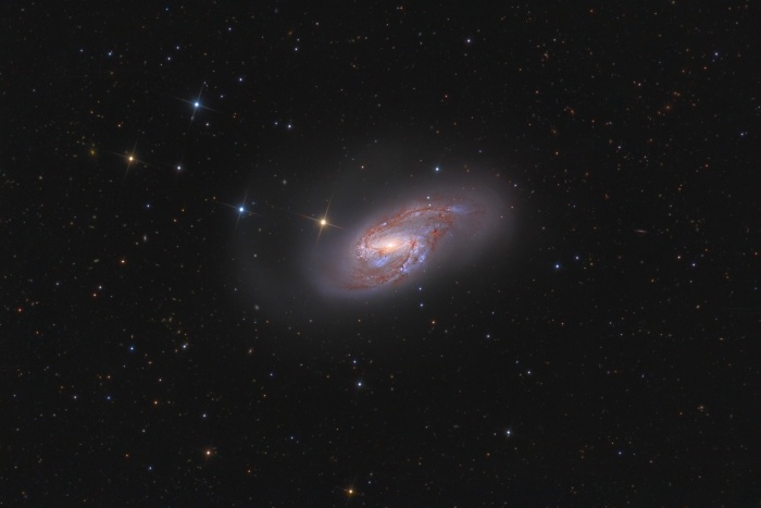    Multiverses: Spiral Galaxy M66  Credit:   Russell Croman Astronomy Picture of the Day - 2010 November 13  Explanation: Big beautiful spiral galaxy M66 lies a mere 35 million light-years away. About 100 thousand light-years across, the gorgeous island universe is well known to astronomers as a member of the Leo Triplet of galaxies. In M66, pronounced dust lanes and young, blue star clusters sweep along spiral arms dotted with the tell-tale glow of pink star forming regions. This colorful and deep view also reveals faint extensions beyond the brighter galactic disk. Of course, the bright, spiky stars lie in the foreground, within our own Milky Way Galaxy, but many, small, distant background galaxies can be seen in the cosmic snapshot. Gravitational interactions with its neighboring galaxies have likely influenced the shape of spiral galaxy M66.