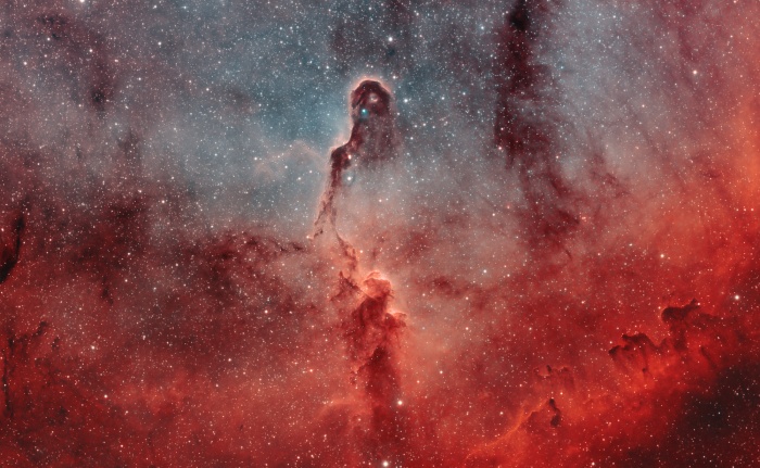 Multiverses: The Elephant's Trunk in IC 1396  Credit: Rolf Geissinger  Astronomy Picture of the Day - 2010 November 6  Explanation: Like an illustration in a galactic Just So Story, the Elephant's Trunk Nebula winds through the emission nebula and young star cluster complex IC 1396, in the high and far off constellation of Cepheus. Of course, the cosmic elephant's trunk is over 20 light-years long. This composite was recorded through narrow band filters that transmit the light from ionized hydrogen, sulfur, and oxygen atoms in the region. The resulting image highlights the bright swept-back ridges that outline pockets of cool interstellar dust and gas. Such embedded, dark, tendril-shaped clouds contain the raw material for star formation and hide protostars within the obscuring cosmic dust. Nearly 3,000 light-years distant, the relatively faint IC 1396 complex covers a large region on the sky, spanning over 5 degrees. This dramatic close-up covers a 2 degree wide field, about the size of 4 Full Moons.