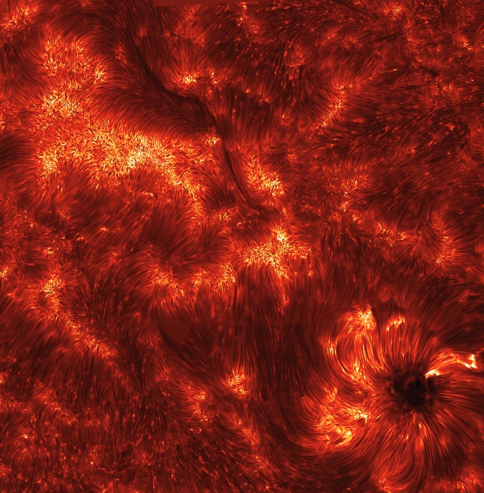    Multiverses: Jets on the Sun  Credit: K. Reardon (Osservatorio Astrofisico di Arcetri, INAF) IBIS, DST, NSO  Astronomy Picture of the Day - 2010 November 2  Explanation: Imagine a pipe as wide as a state and as long as the Earth. Now imagine that this pipe is filled with hot gas moving 50,000 kilometers per hour. Further imagine that this pipe is not made of metal but a transparent magnetic field. You are envisioning just one of thousands of young spicules on the active Sun. Pictured above is one of the highest resolution image yet of these enigmatic solar flux tubes. Spicules line the above frame of solar active region 11092 that crossed the Sun last month, but are particularly evident converging on the sunspot on the lower left. Time-sequenced images have recently shown that spicules last about five minutes, starting out as tall tubes of rapidly rising gas but eventually fading as the gas peaks and falls back down to the Sun. What determines the creation and dynamics of spicules remains a topic of active research.