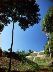 Belize: The Canaa ruins at Caracol