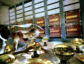 MiniBooNE: investigates the oscillation of neutrinos from one type to another