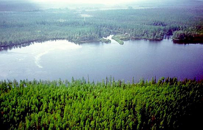 Lake Cheko, in the Siberian region of Tunguska. Credit: www-th.bo.infn.it/tunguska / University of Bologna