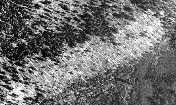 
	Portion of one of the photos from Kulik's aerial photographic survey (1938) of the Tunguska region