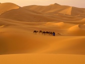 Sahara Desert, Morocco