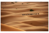 Western Sahara Desert, Morocco