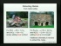 Compound Interest: Heats of Reactions