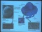 Cell Structure and Organization (Part I)