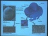 Cell Structure and Organization (Part I)