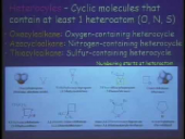 Carbohydrates (Part 1)