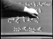 The Definite Integral