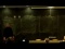 Maximum Entropy: Lecture II
