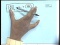 Thermodynamics of Multi Component System (Part II)