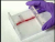 Interview with Bioengineering faculty Prof. Kimberly Hamad-Schifferli