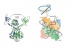 Reverse transcription and integration