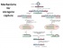Transformation and Oncogenesis