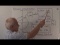 More Applications of 2x2 Matrices