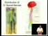 Biological Bases of Mind and Behavior 1