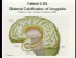 Biological Bases of Mind and Behavior 2
