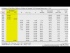 Net Present Value and Investor's Rate of Return